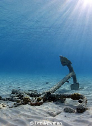 The anchor just in front of Calabas Reef in Bonaire. Grea... by Lee Newman 